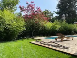 Piscine ensoleillée dans un jardin verdoyant. Terrasse en bois, chaise longue, pelouse tondue, et arbre aux fleurs roses éclatantes.