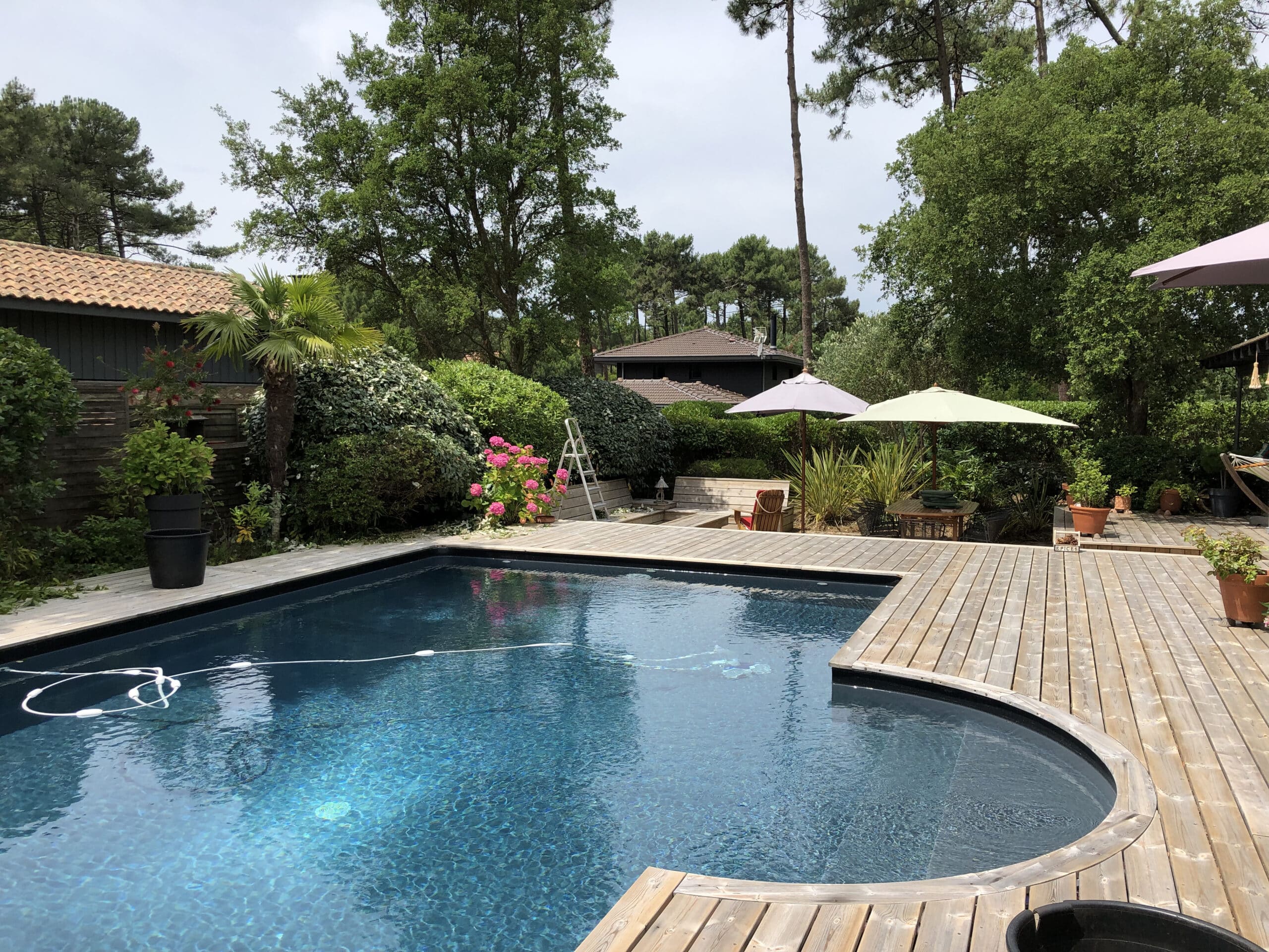 Piscine encastrée bleu foncé avec terrasse bois, entourée d'un jardin luxuriant. Haies denses, hydrangeas roses et grands pins sous un ciel clair.